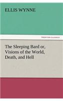 Sleeping Bard Or, Visions of the World, Death, and Hell