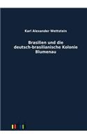 Brasilien und die deutsch-brasilianische Kolonie Blumenau