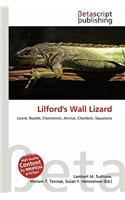 Lilford's Wall Lizard