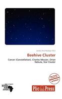 Beehive Cluster