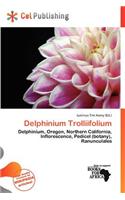 Delphinium Trolliifolium