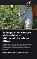 Sviluppo di un sensore elettrochimico utilizzando il carbone attivo