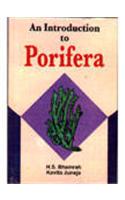 An Introduction To Porifera