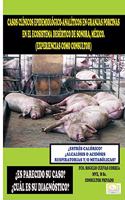 Casos Clínicos Epidemiológico-Analíticos En Granjas Porcinas En El Ecosistema Desértico de Sonora, México.