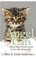 Angel Cats: When feline friends touch hearts and change lives