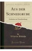 Aus Der Schneegrube: Gedanken Zur Naturforschung (Classic Reprint): Gedanken Zur Naturforschung (Classic Reprint)