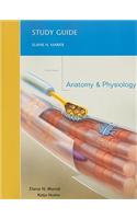 Study Guide for Anatomy and Physiology