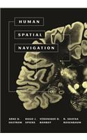 Human Spatial Navigation