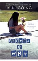 Pieces of Why
