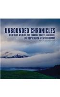 Unbounded Chronicles