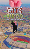 Cats versus Birds; or, a Bird in the Paw…