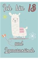 Ich bin 13 und Lamatastisch