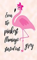 Even The Pinkest Flamingo Started Grey