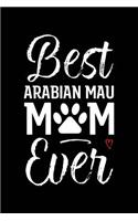 Best Arabian Mau Mom Ever