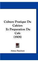 Culture Pratique Du Cafeier