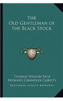 Old Gentleman of the Black Stock