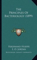 The Principles Of Bacteriology (1899)