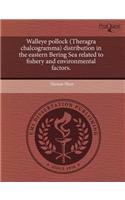 Walleye Pollock (Theragra Chalcogramma) Distribution in the Eastern Bering Sea Related to Fishery and Environmental Factors