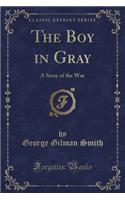 The Boy in Gray: A Story of the War (Classic Reprint)