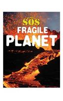 Fragile Planet