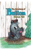 Adventures of Button