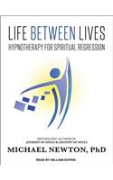 Life Between Lives