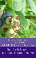 Break The Evil Cycle Of "Promise & Fail": Plus: Do-It-Yourself Effective, Practical-Prayers(English)