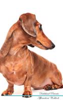 Dachshund Affirmations Workbook Dachshund Presents: Positive and Loving Affirmations Workbook. Includes: Mentoring Questions, Guidance, Supporting You.: Positive and Loving Affirmations Workbook. Includes: Mentoring Questions, Guidance, Supporting You.