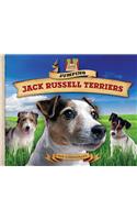 Jumping Jack Russell Terriers