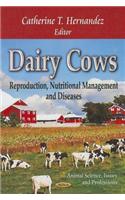 Dairy Cows