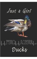 Just a girl who loves Ducks journal
