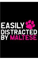 Easily Distracted by Maltese