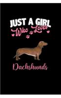 Just A Girl Who Loves Dachshunds