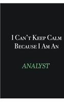 I cant Keep Calm because I am an Analyst: Writing careers journals and notebook. A way towards enhancement