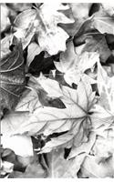 The Botanical Collection: Black and White Leaves, Travel Sized Notebook, Journal, Diary for Plant Lovers, Lined Stationery With Cream Paper Interior(13 Horticultural Stationery)