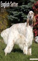 English Setter 2021 Wall Calendar