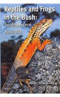 Reptiles and Frogs in the Bush