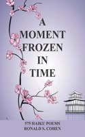 Moment Frozen in Time