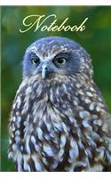 Notebook/ Journal - Ruru (Morepork) New Zealand's Native Owl