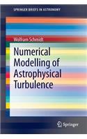 Numerical Modelling of Astrophysical Turbulence