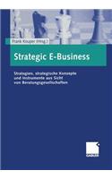 Strategic E-Business