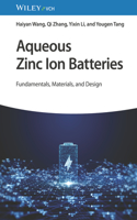 Aqueous Zinc Ion Batteries