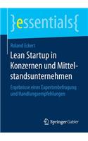 Lean Startup in Konzernen Und Mittelstandsunternehmen