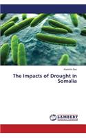 Impacts of Drought in Somalia