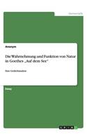 Die Wahrnehmung und Funktion von Natur in Goethes "Auf dem See"