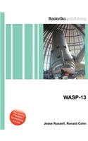 Wasp-13