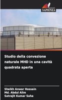 Studio della convezione naturale MHD in una cavità quadrata aperta