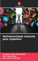 Nefrotoxicidade induzida pela cisplatina