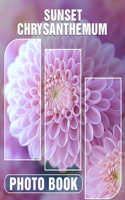 Sunset Chrysanthemum Photo Book