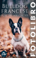 Bulldog francese: Fotolibro - oltre 100 immagini HD(Fotolibro - Oltre 100 Immagini HD)